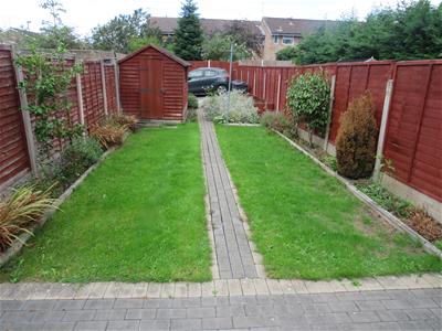 Picture 12